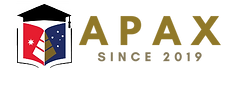 Apax visa services