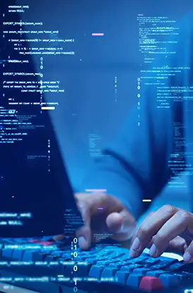 Custom Software AI IT Solutions